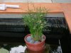 DSCN3189.JPG