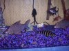 100_3608.JPG