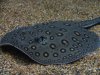 DSC04063.JPG