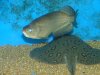 DSC04086.JPG