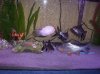 100_3754.JPG