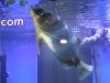 fnew fish pics 2 038.jpg