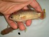 DSC00561.JPG
