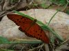 CÃ³pia de P5050017.JPG