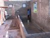 IMG_4427 Fish Room Levelling work.JPG