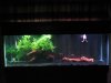 Picture or Video 027.jpg