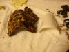 DSC00830.JPG