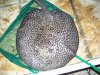 100_8116.JPG