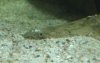 be.jpg
