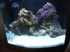 DSCF0176.JPG