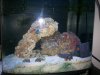 fish tank sump 009.jpg