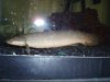 Picture 001.jpg