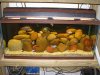 20MAY08 034.jpg