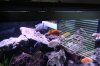 DSC00616.JPG