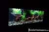 Chimmney Tank.jpg