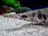 DSC00351.JPG
