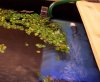 pool 051.jpg