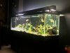 newtank2.jpg