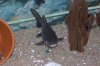 DSC_0112.JPG