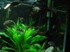 Waiting for the Feeding Frenzy2.JPG