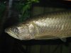 Picture or Video 040.jpg