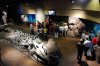 altanta5-8-08-127-s.jpg