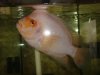 DSC05886.JPG