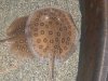 zoo 024.JPG