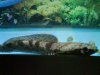 DSC03109.JPG