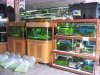 IMG_2692 Entrance Water Plants.JPG