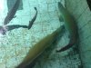 DSC0302999.jpg