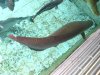 DSC0307333.jpg
