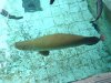DSC0307444.jpg