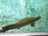 DSC0307555.jpg