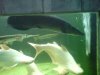DSC0304222.jpg