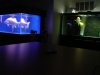 DSC07759.JPG