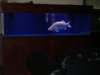 DSC07757.JPG
