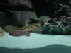 DSC02365.JPG