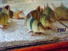 DSC00396.JPG