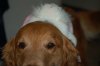 DSC_0057.JPG