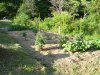 DSC02354.JPG