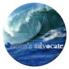 oceans advocate  copy.jpg