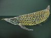 RTG_Arowana_3_D_by_Death_Pony7.jpg
