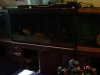 tanks for trade 011.jpg