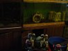 tanks for trade 013.jpg