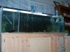 fish 032.JPG
