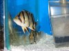 DSC01105.JPG
