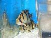 DSC01107.JPG