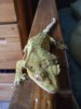 DSCF0845.JPG