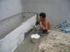 IMG_4792 Fish Pond Plaster White Finish.JPG